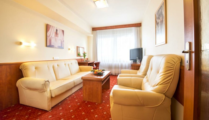 Hotel Alessandria Hradec Králové - Apartmá pro dvě osoby STANDARD